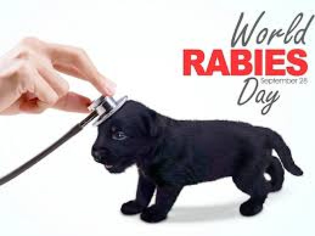 World Rabies Day 2024 Breaking Rabies Boundaries