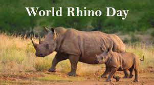 World Rhino Day 2024