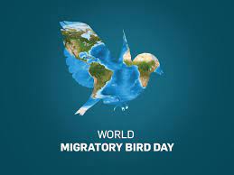 World Migratory Bird Day 2023 Celebrates On May 13