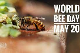 World Bee Day 2023 Observed On 20th May