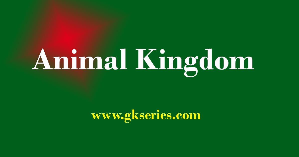 Multiple Choice Questions with Answers on Animal Kingdom | Animal