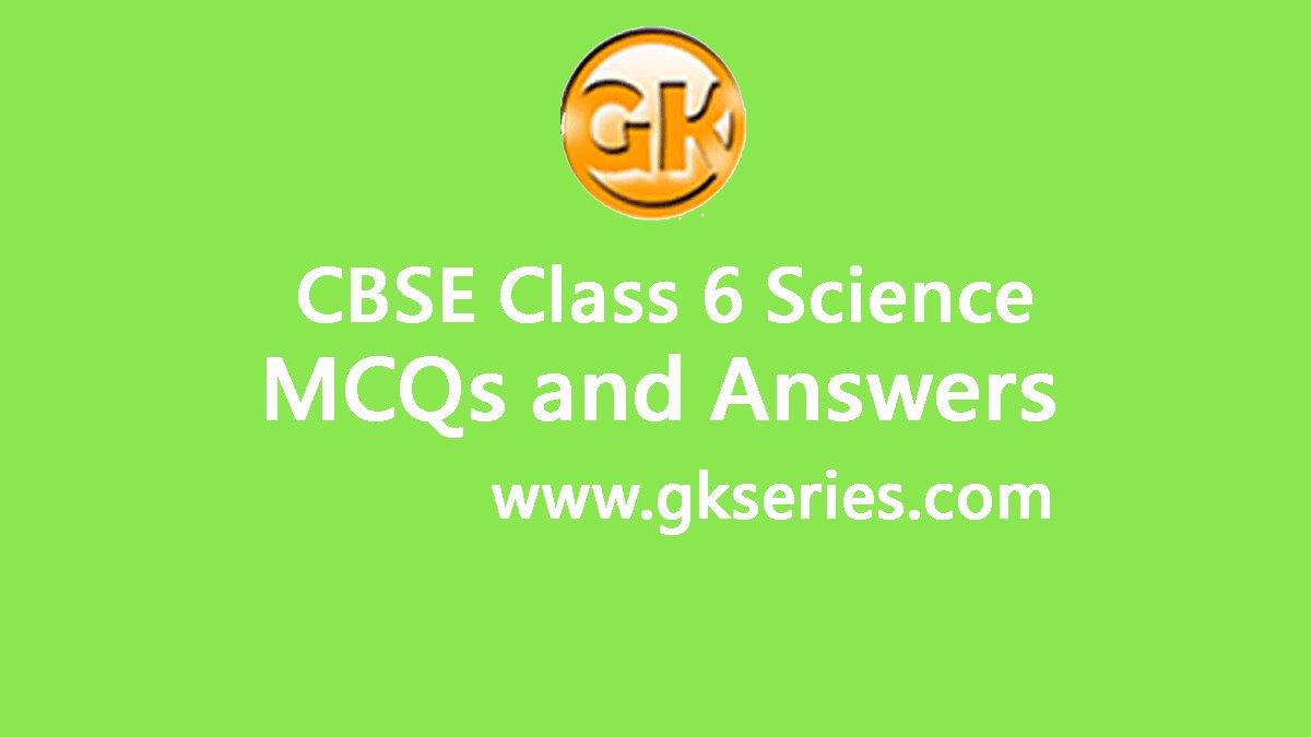 the wonderful world of science class 6 question answer mcq