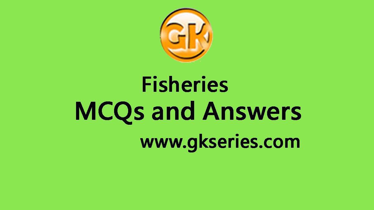 Fishing questions and answers