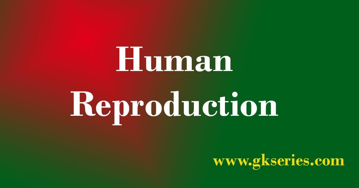 human-reproduction-objective-type-questions-and-answers-human-reproduction-quiz