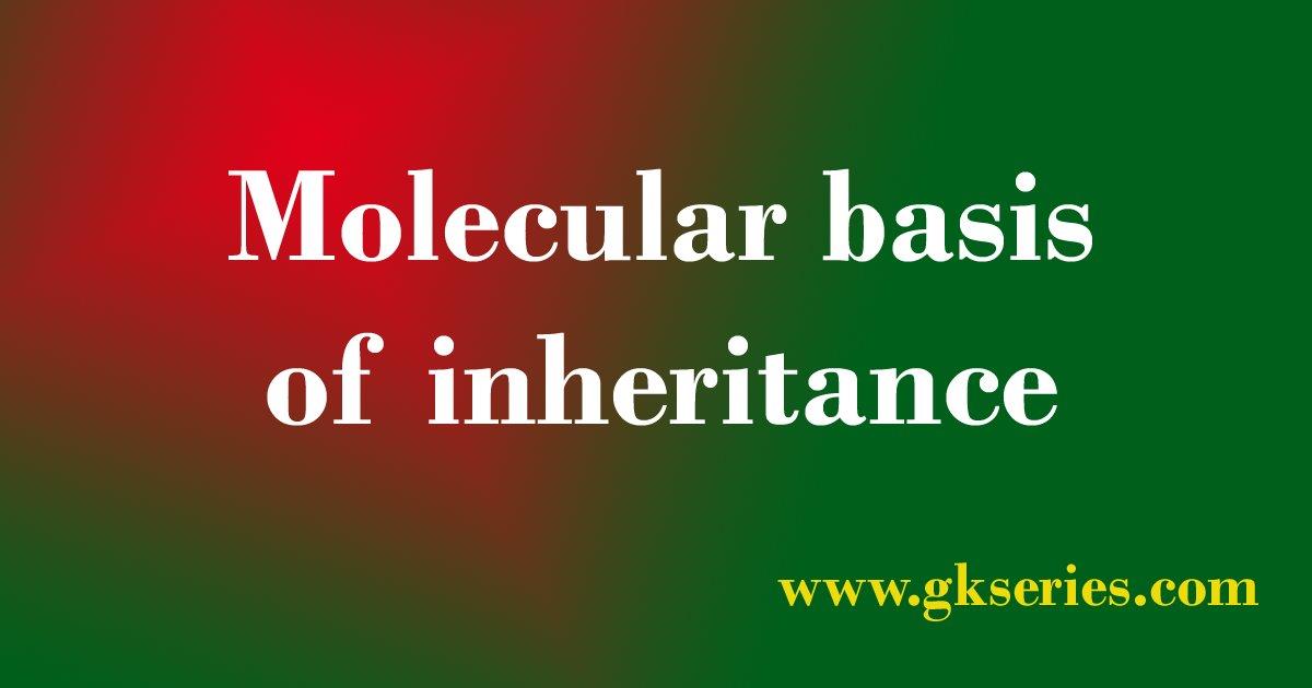 Molecular Basis Of Inheritance Short Questions And Answers | Molecular ...