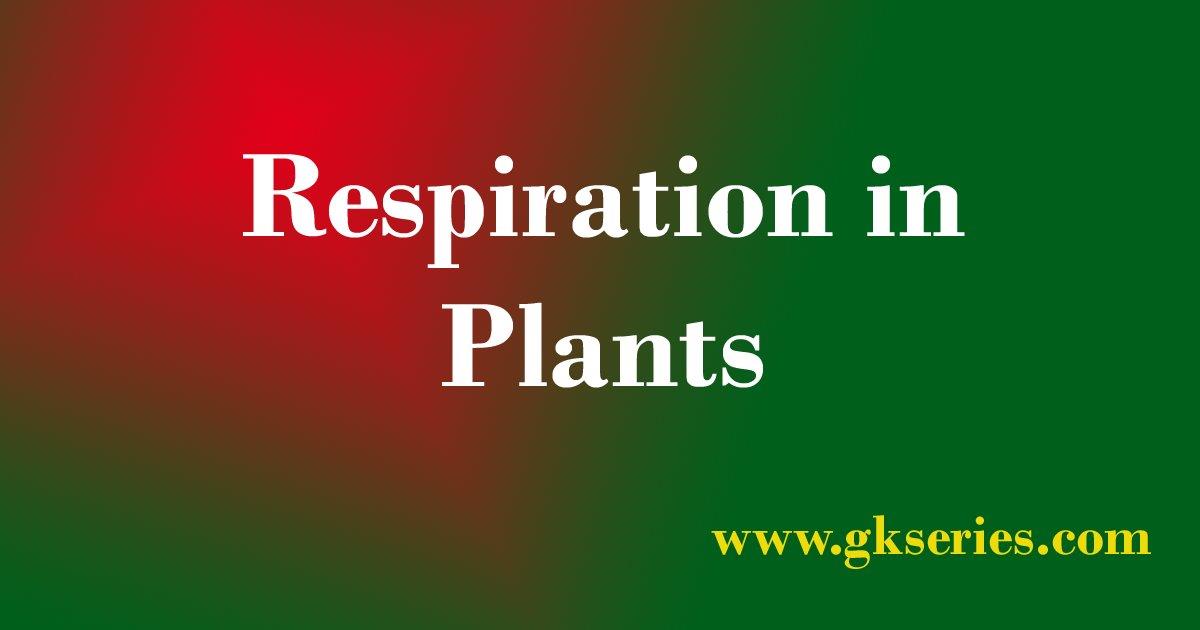 Respiration In Plants Multiple Choice Questions (MCQs) With Answers ...