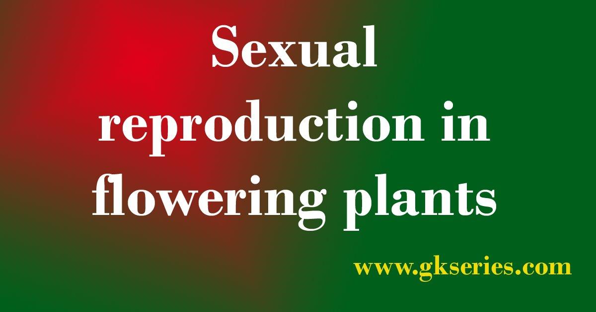 sexual-reproduction-in-flowering-plants-objective-type-questions-and