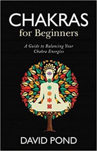 Chakras for Beginners: A Guide to Balancing Your Chakra Energies