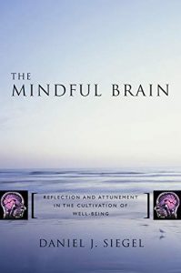 The Mindful Brain in Human Development – Reflection and Attunement in the Cultivation of Well–Being