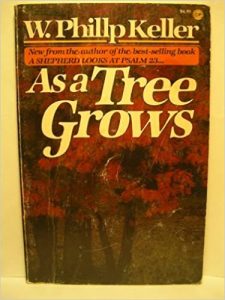 As a Tree Grows-reflections on Growing in the Image of Christ