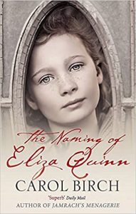 The Naming Of Eliza Quinn